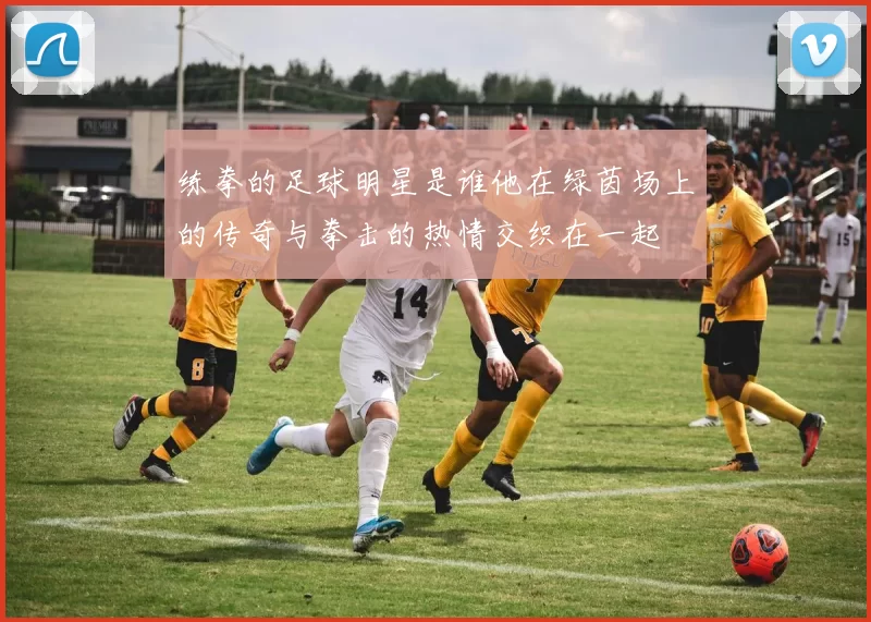 练拳的足球明星是谁他在绿茵场上的传奇与拳击的热情交织在一起