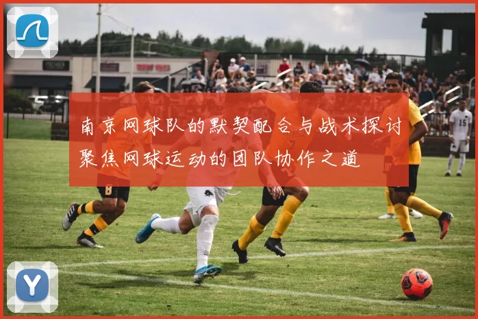 南京网球队的默契配合与战术探讨聚焦网球运动的团队协作之道