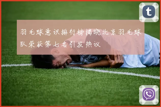 羽毛球意识排行榜揭晓北京羽毛球队荣获第七名引发热议