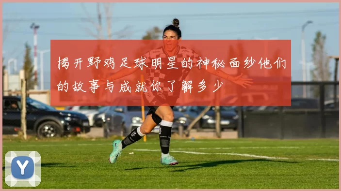揭开野鸡足球明星的神秘面纱他们的故事与成就你了解多少