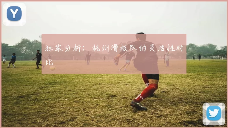 独家分析：杭州滑板队的灵活性对比