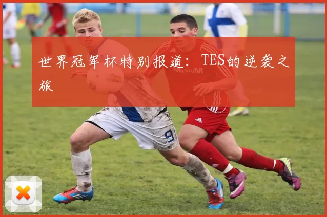 世界冠军杯特别报道：TES的逆袭之旅