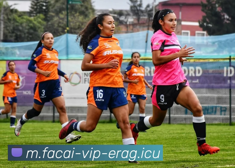 九游体育品牌故事