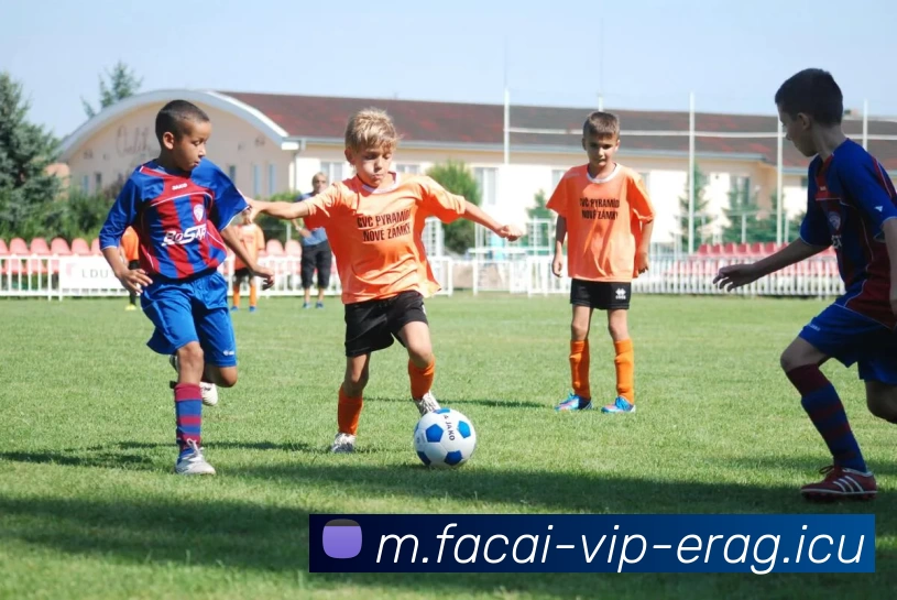 九游体育服务体系